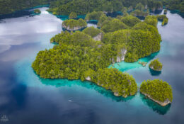 West Papua, Kaimana, Triton Bay 2026 (14/41)